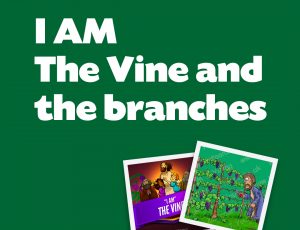 The Vine & The Branches